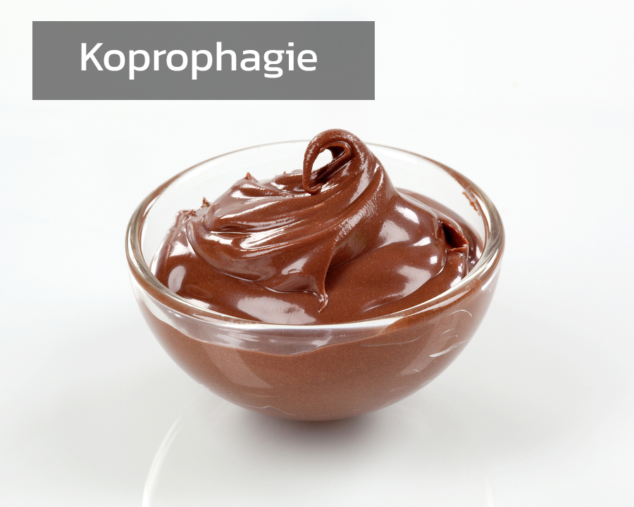 Koprophagie